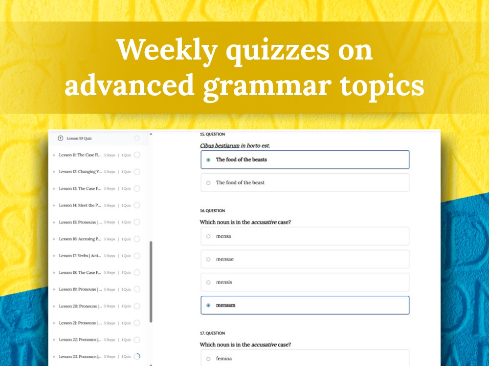 Weekly quizzes on advanced grammar topics